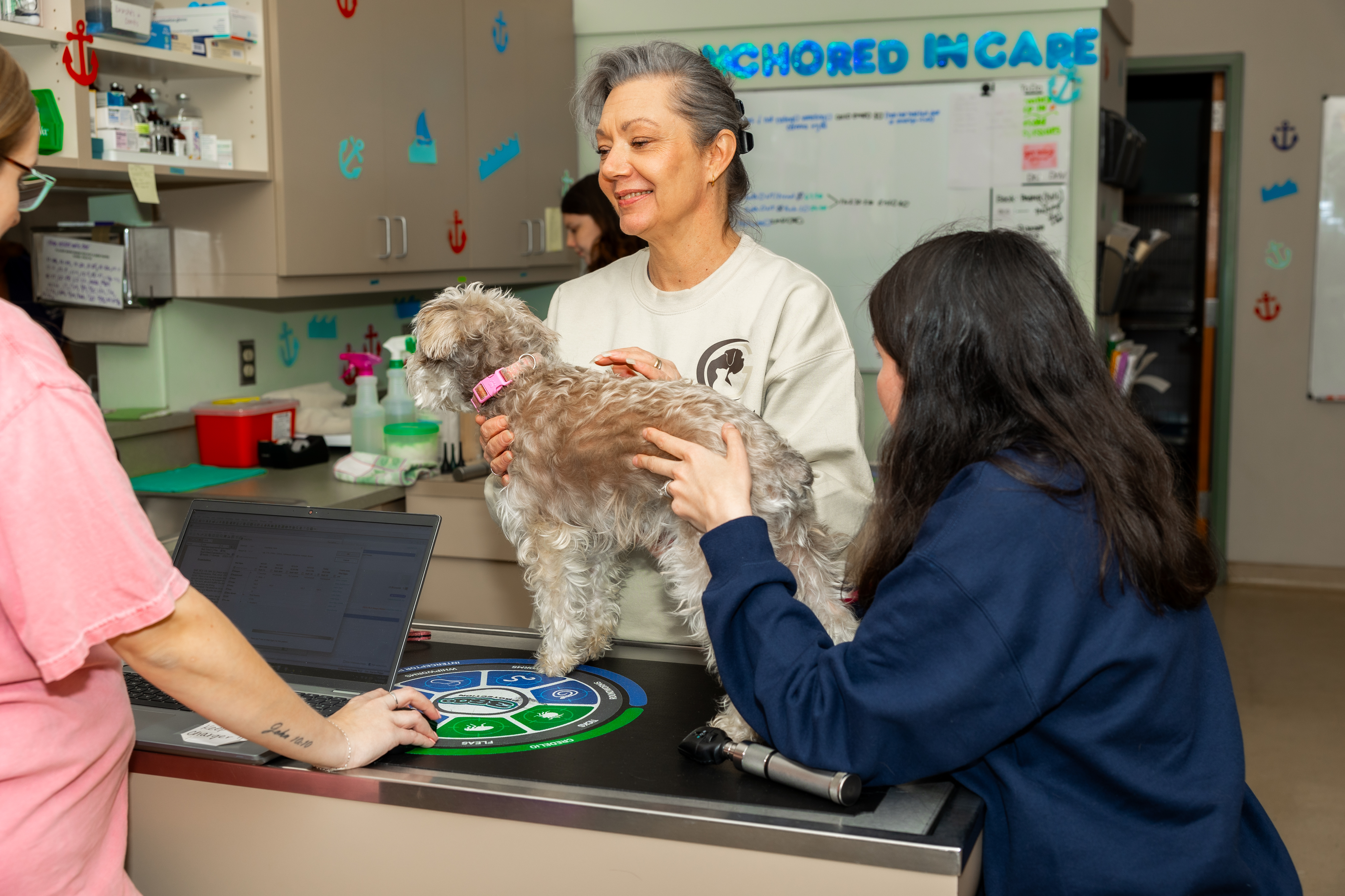 Graham Animal Hospital team